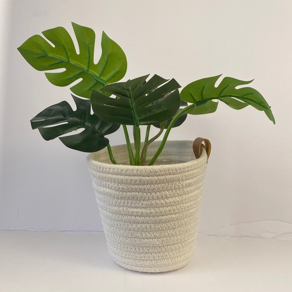 Other - Cream Woven Basket